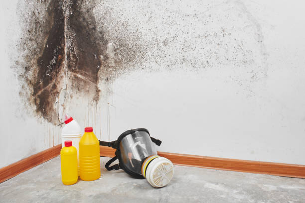 Water Damage Restoration in West Livingston, TX