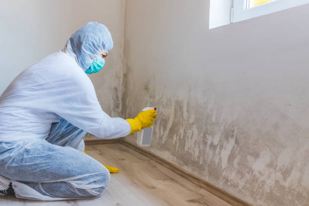 Best Mold Removal and Inspection  in West Livingston, TX
