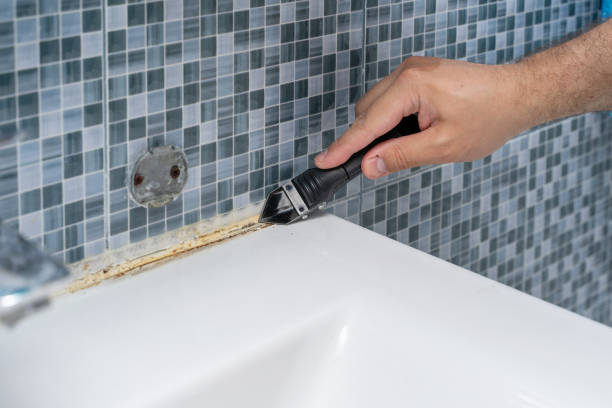 Best Certified Mold Removal  in West Livingston, TX