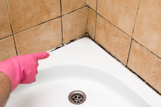 Best Mold Removal Near Me  in West Livingston, TX